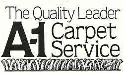 Professional Carpet Cleaning