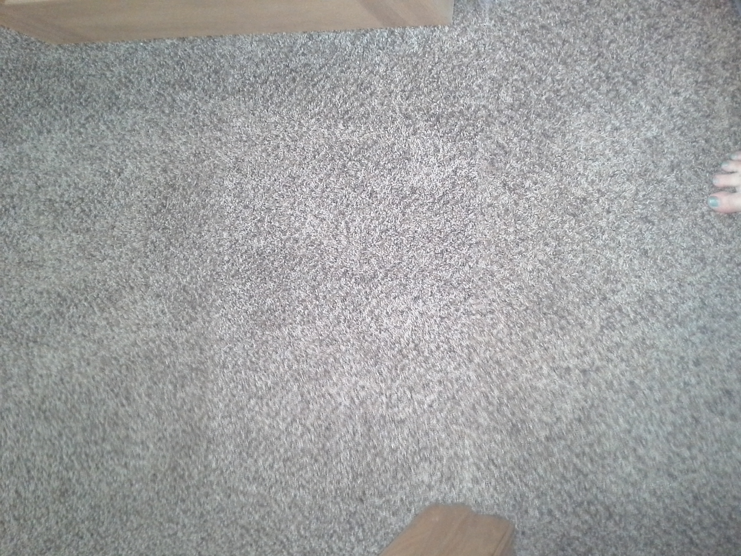 Carpet Repair Sioux Falls, SD